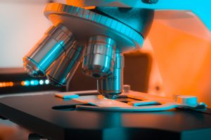 Microplastics and Chemical Exposure: The Hype v. the Science 